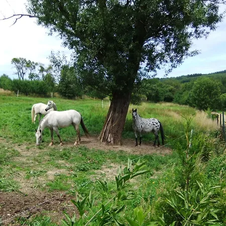 Edelstein Ferienhaus