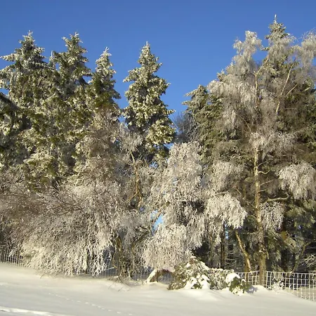 Edelstein Ferienhaus Morschied (Birkenfeld)