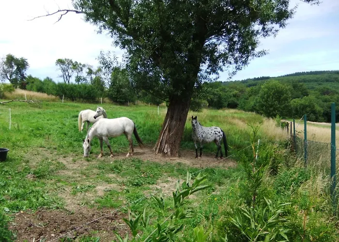 Edelstein Casa vacanze
