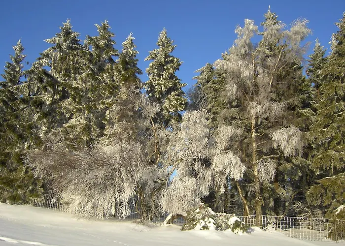 Edelstein Casa vacanze Morschied (Birkenfeld)